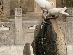 -西安大兴善寺