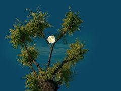 -五谷芳乳鸽王(梅沙老店)