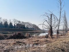 -洨河生态公园