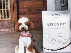 -喜洲吧·江畔老船厂·庭院餐厅(喜临院店)