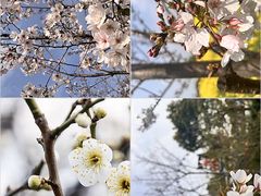 -洪泽湖古堰景区