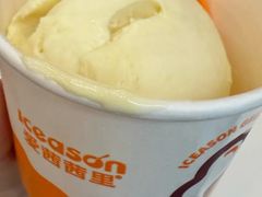 -iceason爱茜茜里·意大利健康冰淇淋(骑龙巷店)