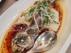 -东方御宴海鲜酒楼(棕泉酒店)