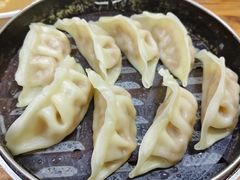 蒸饺-阊门姚记豆浆(旧学前直营店)