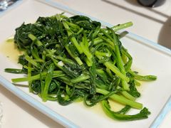 蒜蓉炒藏红花苗-牧雲子·臻选云南菜 .商务宴请(泰然大厦店)