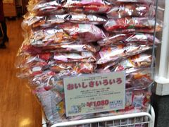 -中部国际机场