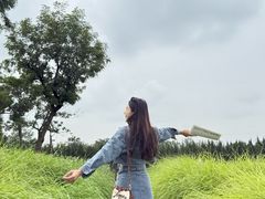 -汉长安城未央宫国家考古遗址公园