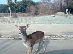 -常州淹城野生动物世界