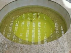 -龙脉温泉室内游泳馆