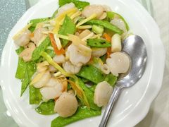 -弘城海鲜点心酒家