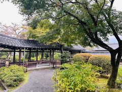 -天龙寺