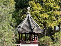 -上海醉白池公园