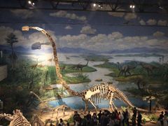 -自贡恐龙博物馆