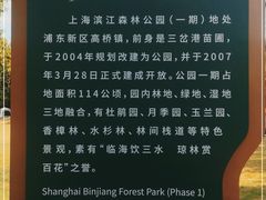 -上海滨江森林公园