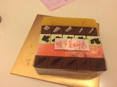 -维尔纳斯·生日蛋糕动物奶油冰淇淋蛋糕(人大店)