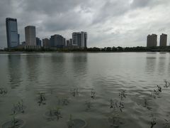 -映月湖中央公园