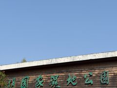 -溱湖国家湿地公园