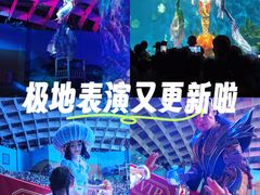-海合安武汉极地海洋公园
