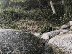 -三江森林温泉度假区