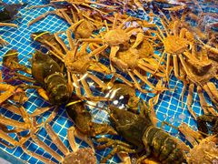 -驻海渔市(置信店)