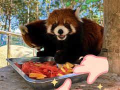 -水上乐园·欢乐世界