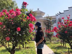 -东湖落雁景区