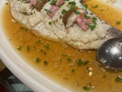 酒香鲥鱼-兴农记