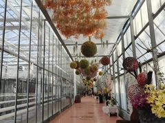 -上海鲜花港