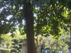 -广州神农草堂中医药博物馆