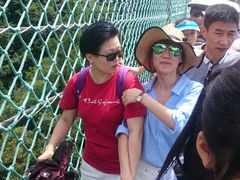 -梦幻奥陶纪景区