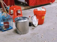 -桂林市花鸟市场