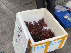 -沪陵农贸市场