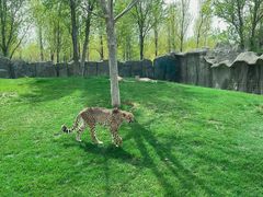 -北京野生动物园