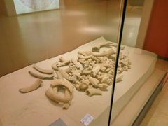 -西安大唐西市博物馆