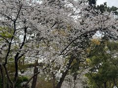 -浙江西子宾馆·牡丹厅