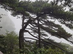 -天柱山风景区