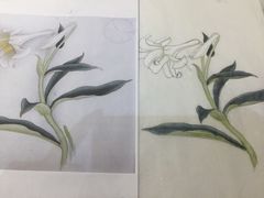 作品-谷隆画舍·国画书法素描彩铅水彩
