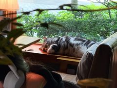 -咖法森林·咖啡  酒吧(天河店)