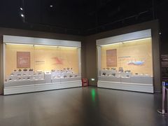 -湖南省地质博物馆