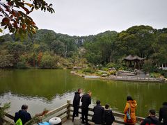 -广州市帽峰山景区