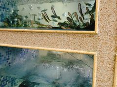 景观位-胖大姐黄辣丁鱼庄(新津店)