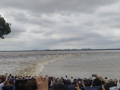 -观潮胜地公园