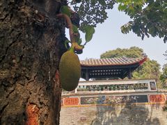 -梁园