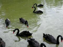 -长兴太湖图影湿地文化园