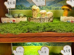 -菌竹轩酒楼(海河天街店)