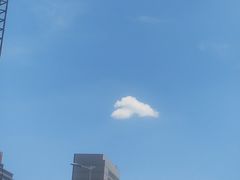 -静园(和平区)