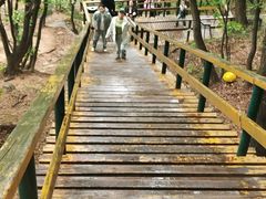 -吉林市朱雀山国家森林公园