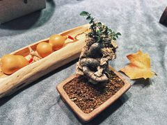 -徐家汇源景区-衡山坊