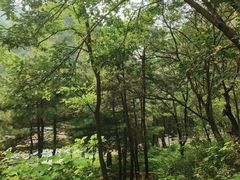 -湖洞水自然风景区