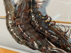 -养牛邓·潮汕牛肉海鲜自助火锅(广州店)
